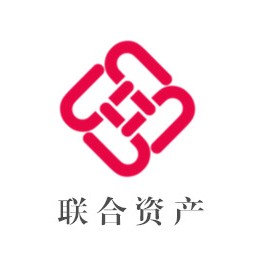 联合资产