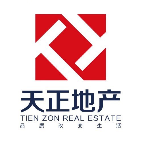 天正集团