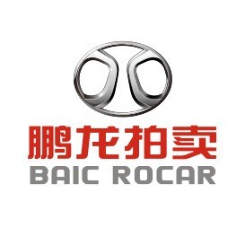 北汽鹏龙拍卖