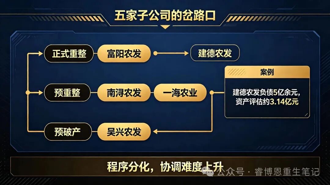1790086563946967.jpg 23.jpg